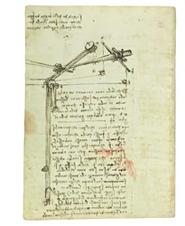 Codice sul volo degli uccelli, Folio 16 verso